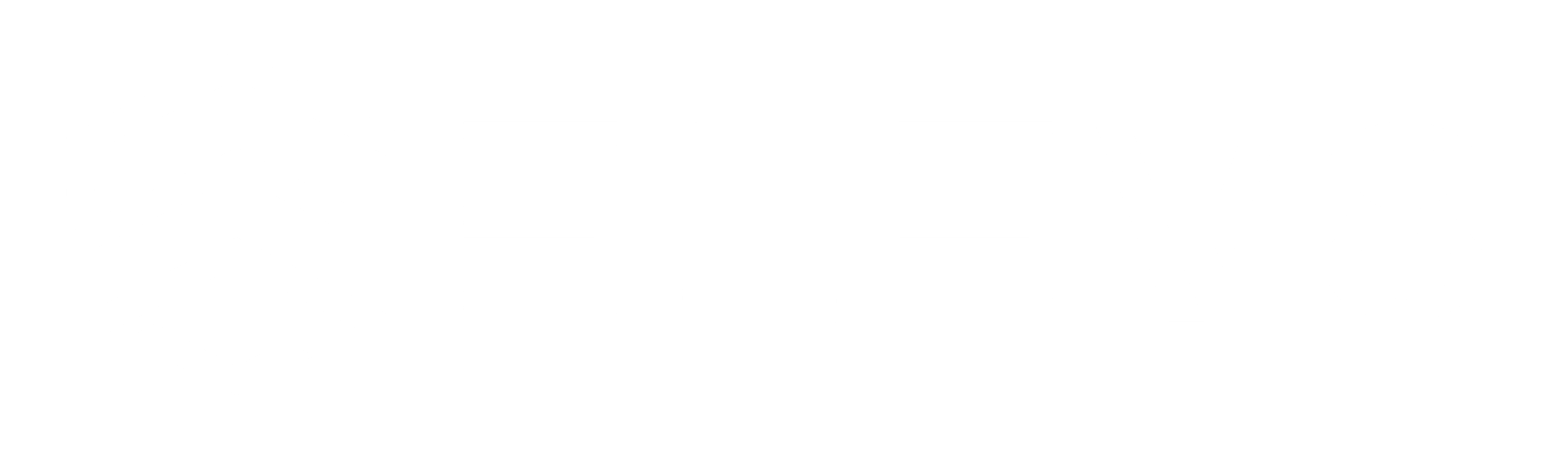 Elev8